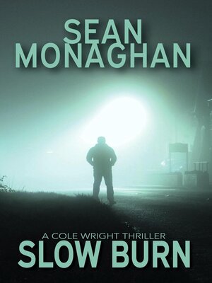 cover image of Slow Burn